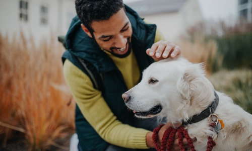 Happy pet with its owner